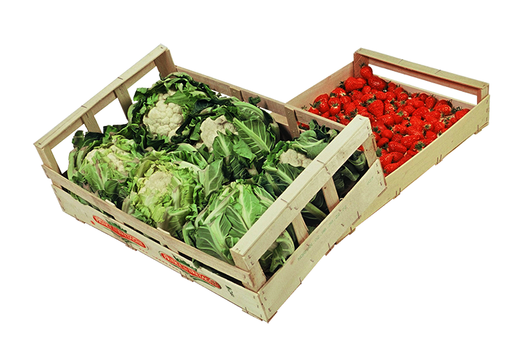 packaging of fruits and vegetables Goals / objectives this study focuses on the development and use of new types of packaging systems for fruits and vegetables there are several new sustainable. packaging of fruits and vegetables Goals / objectives this study focuses on the development and use of new types of packaging systems for fruits and vegetables there are several new sustainable.