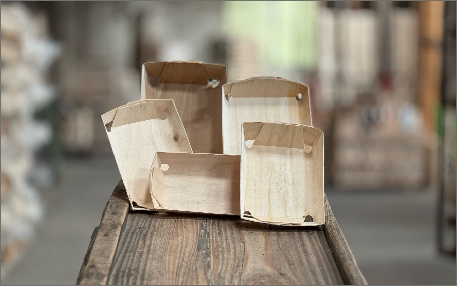 Barquettes pliables
